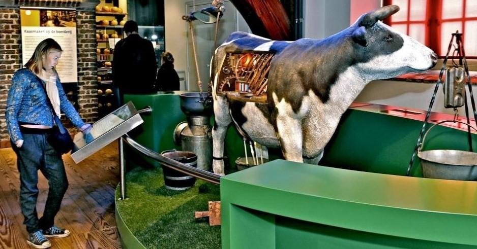 Beeld van een koe in het kaasmuseum Alkmaar
